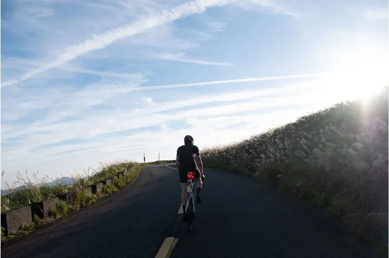 Giant Recon TL 100 Rear Light - Black 4 Giant Recon TL 100 Rear Light - Black - Image 4